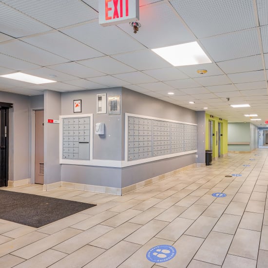 Hallway at Towne Centre Place in Ypsilanti, Michigan