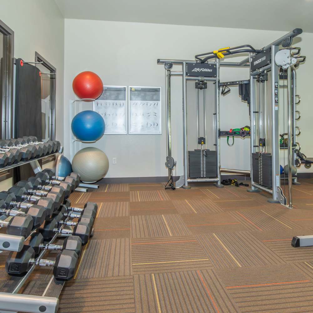 Fitness center with weight machine and dumbbells at Park Place Olde Town Apartments in Arvada, Colorado