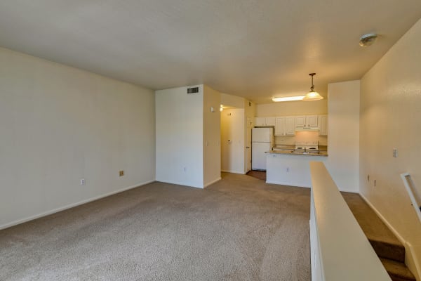 Spacious Living Room at Reserve at Castle Highlands Apartments in Castle Rock, Colorado