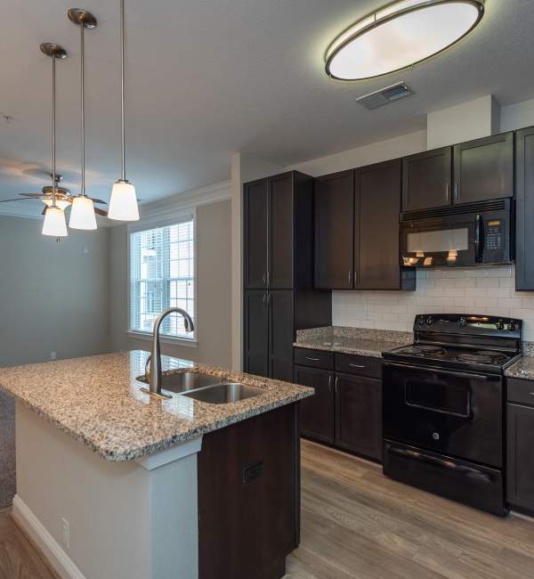 Kitchen with Black Appliances at Red Knot at Edinburgh in Chesapeake, Virginia.