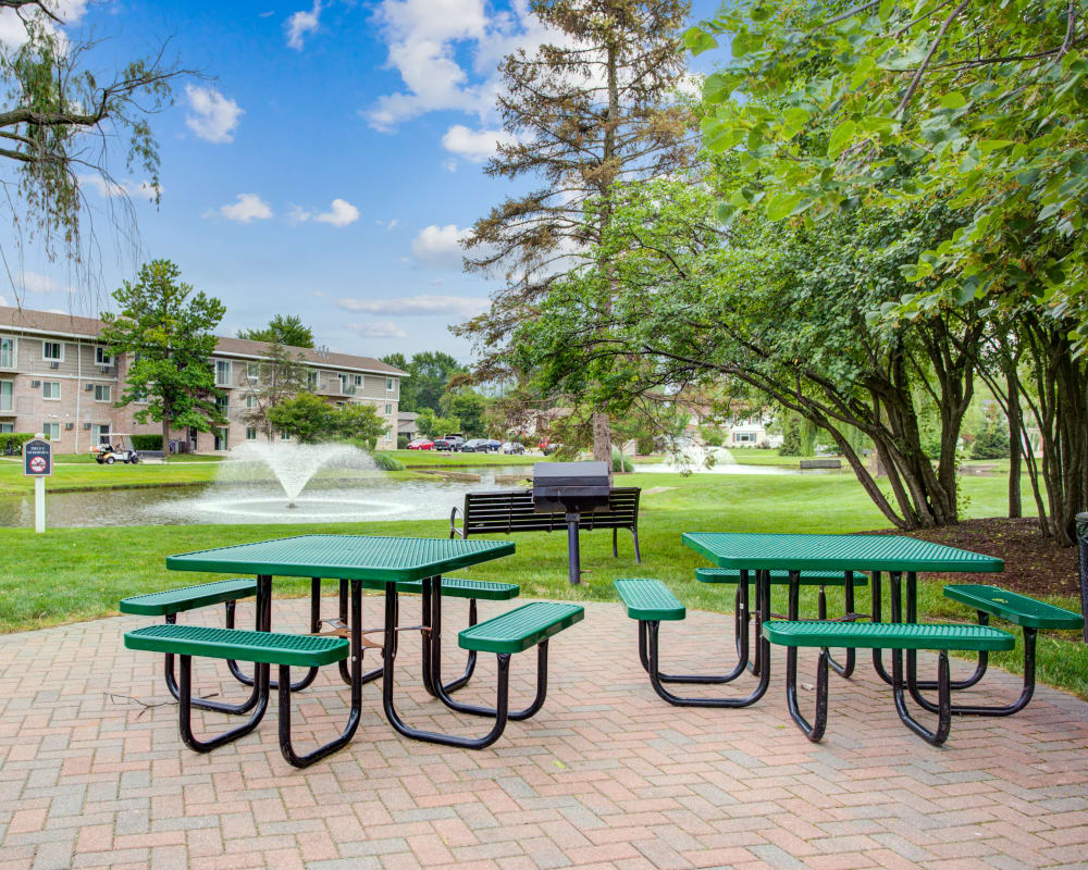 Picnic area with grilling stations by the lake at The Gates of Deer Grove Apartment Homes in Palatine, Illinois