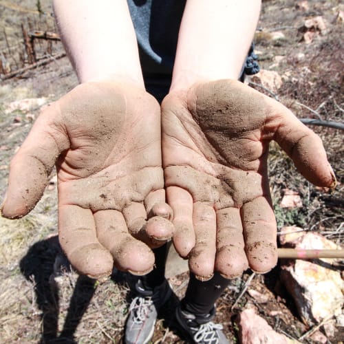 Dirty hands with open palms at Innovation Senior Living in Winter Park, Florida