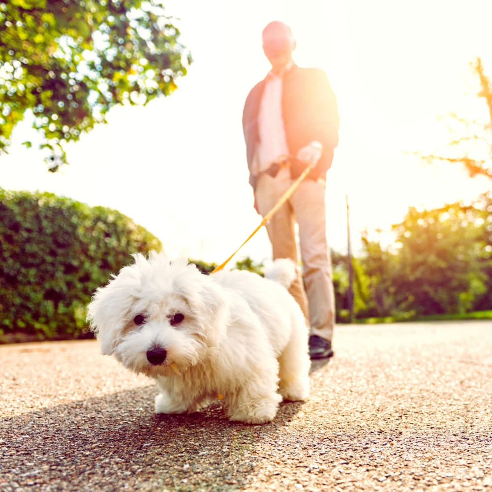 Senior with a puppy at The Country Club of La Cholla in Tucson, Arizona