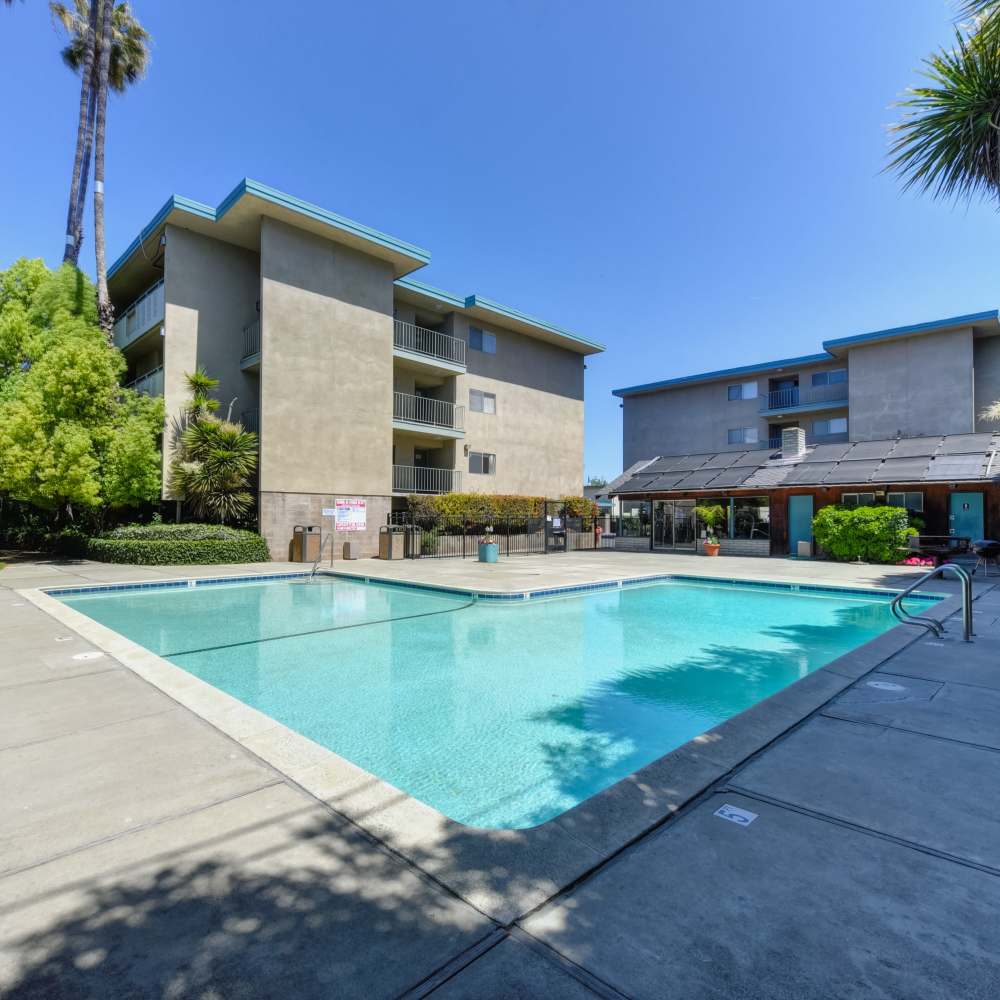 Swimming pool at Fayette Arms Apartments in Mountain View, California,
