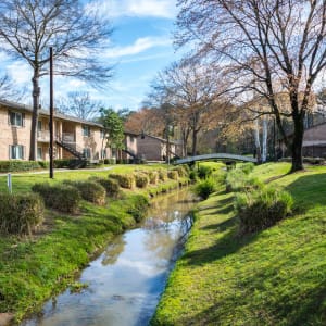 Greenery at Lexington Park Apartments in Smyrna, Georgia