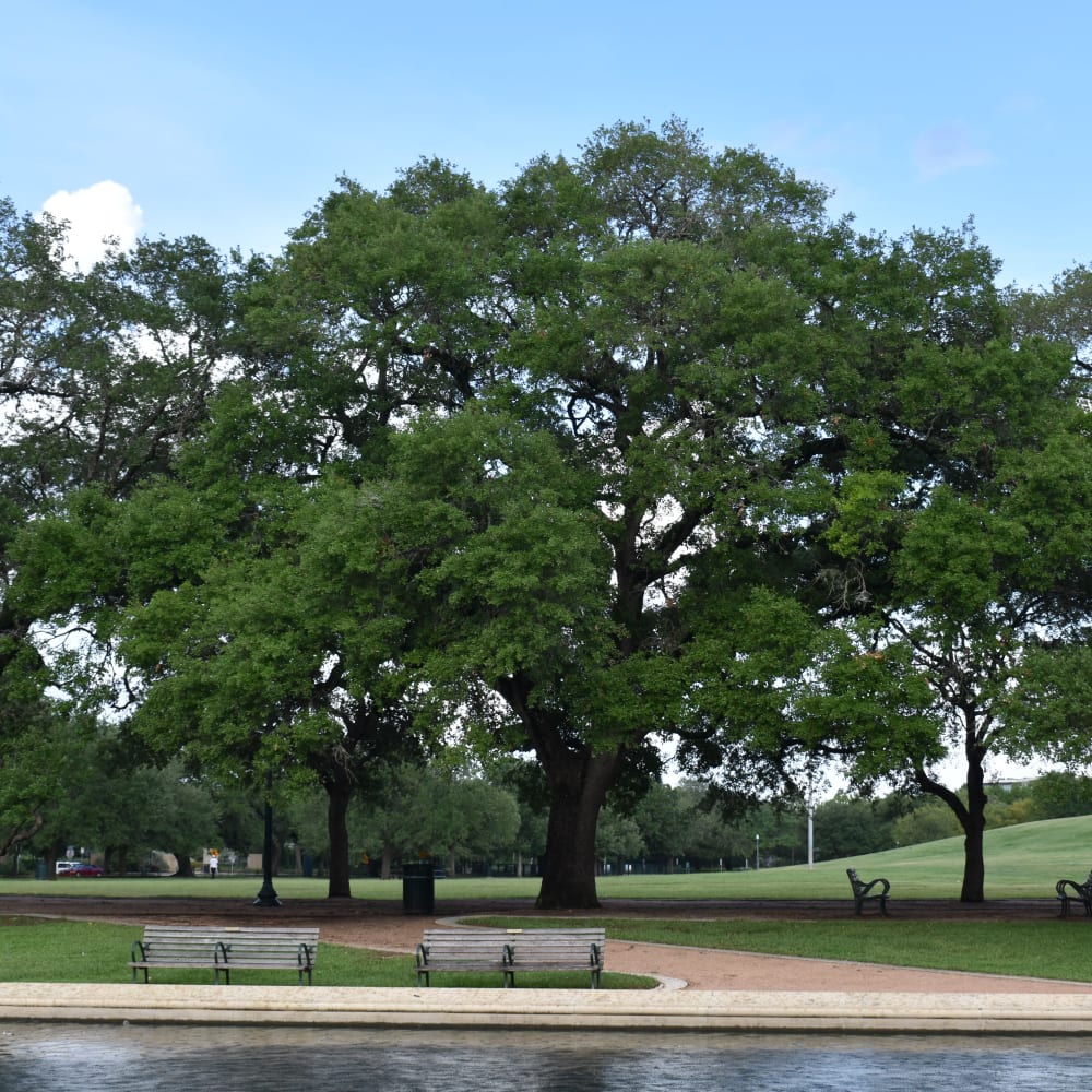 Residents at their favorite spot near Napoleon Square Apartments in Houston, Texas