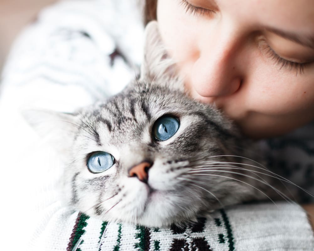 Resident holding and kissing her cat at Olympus Falcon Landing in Katy, Texas