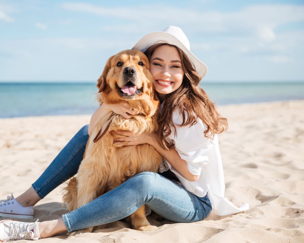 Resident pup and his owner relaxing on the beach near Olympus Emerald Coast in Destin, Florida