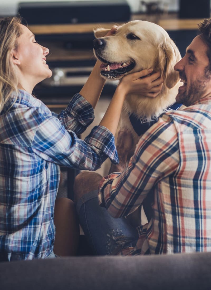 View our pet policy at Marquis at Silver Oaks in Grapevine, Texas