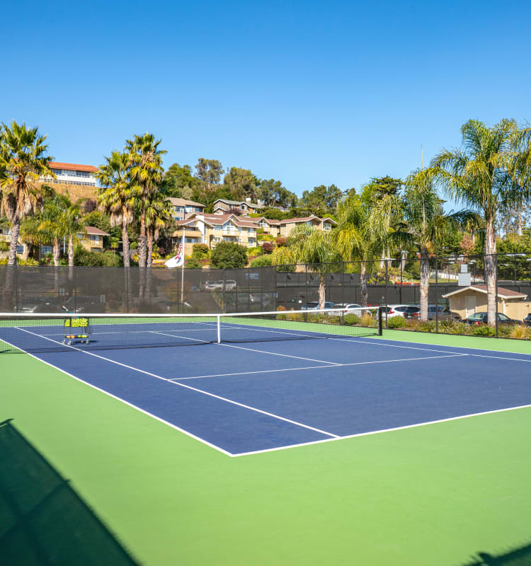 Onsite tennis courts at Harbor Point Apartments in Mill Valley, California