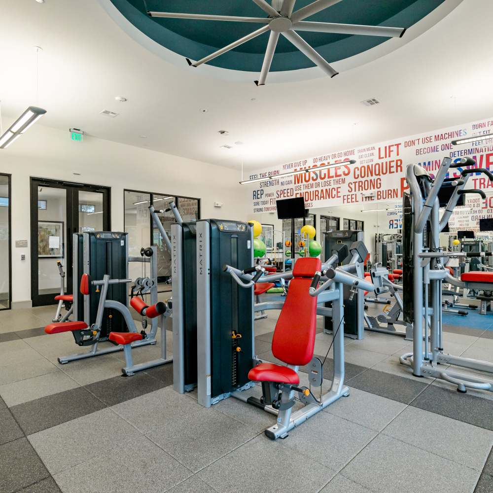 Gym at NOVU New Forest in Houston, Texas