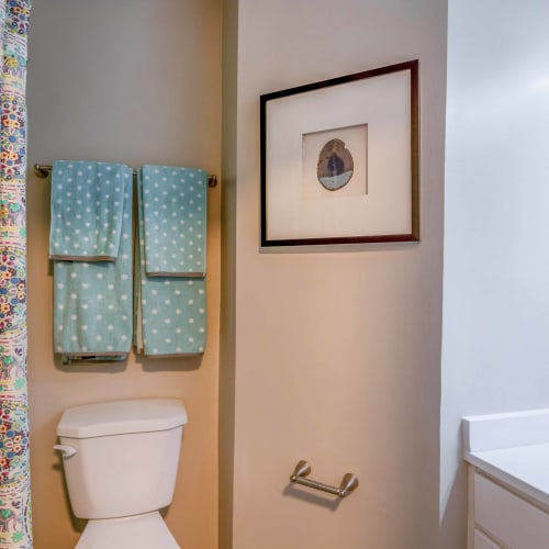 Bathroom with toilet at Hickory Creek in Henrico, Virginia