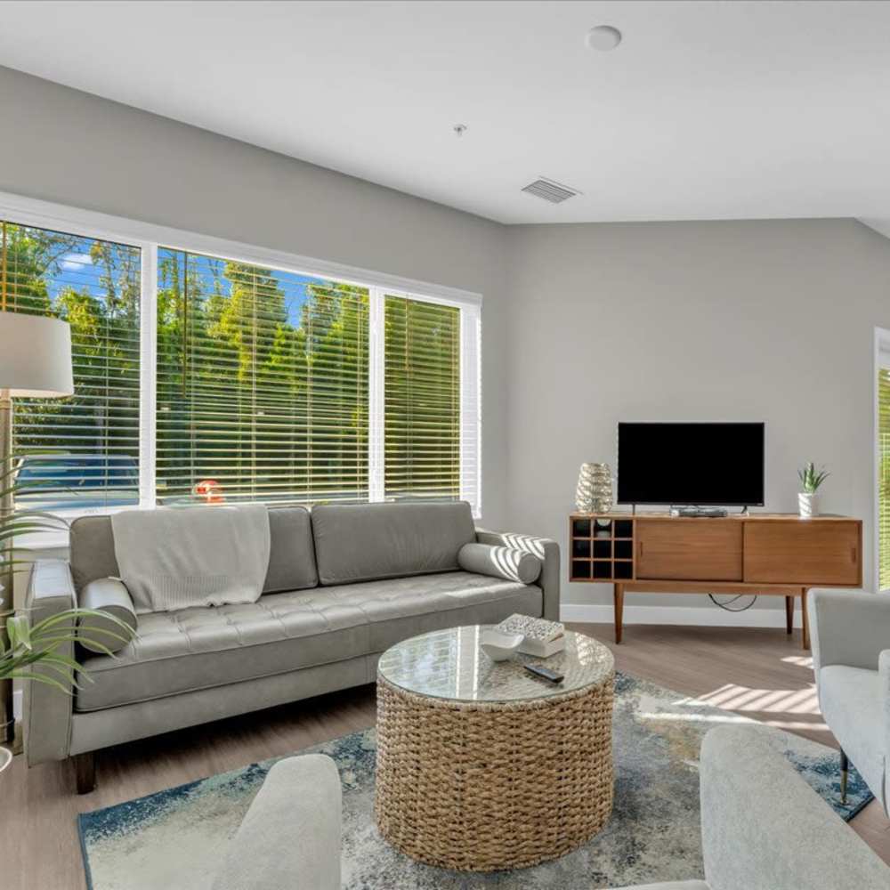 New living room with large windows at 81 West Apartments in Fort Myers, Florida