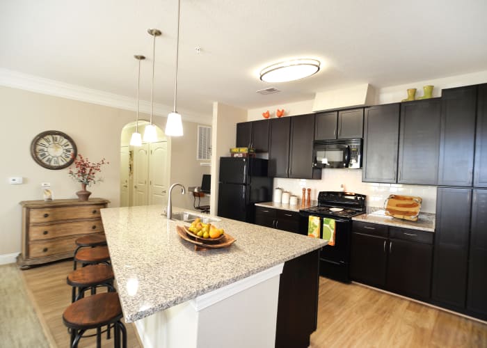 Edinburgh Chesapeake, VA Apartments | Red Knot at Edinburgh