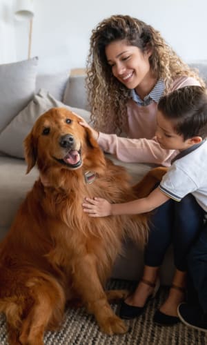 Golden retriever getting some pets from family at Stonegate Apartments in Mckinney, Texas