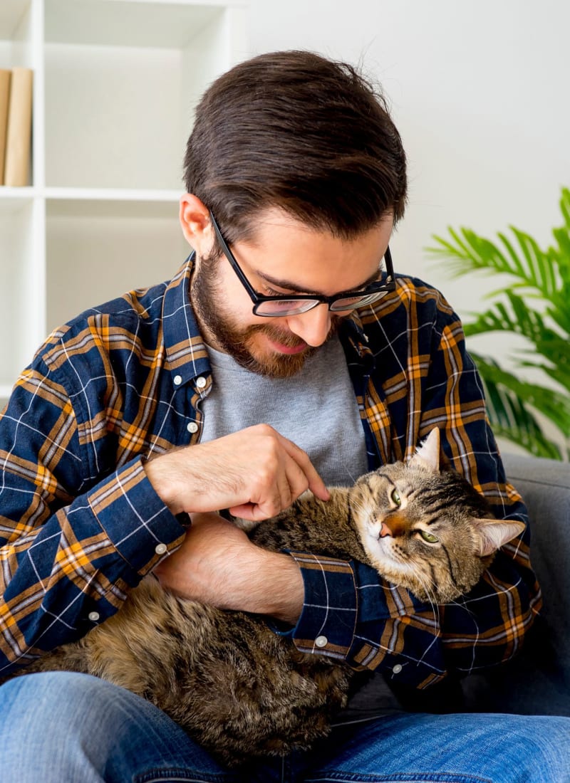 Two pets maximum per apartment at Marquis on Park Row in Houston, Texas
