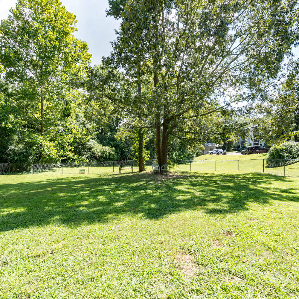 Dog park at Germantown Gardens in East Ridge, Tennessee