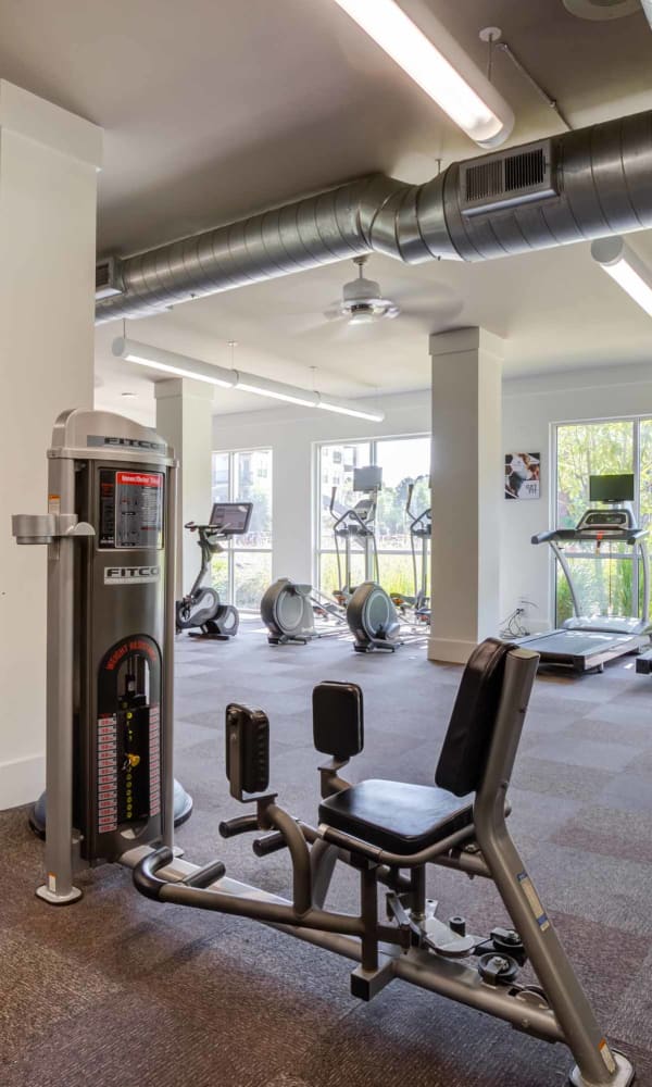 North Charlotte, NC Apartments in Wedgewood | Celsius