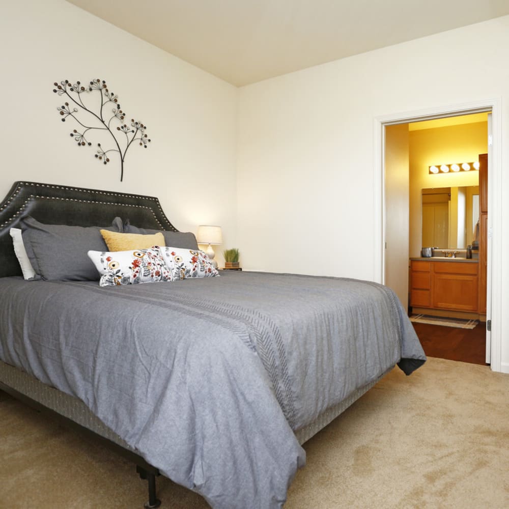 Bedroom with plush carpeting and private bathroom at Watersedge in Champaign, Illinois