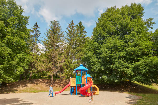 8 Silver Maple Court offers a playground in Brampton, Ontario