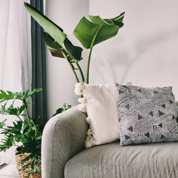 Sofa and plants at Aster, Long Beach, California