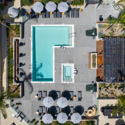 Aerial view of the pool and spa at MV Apartments in Mountain View, California