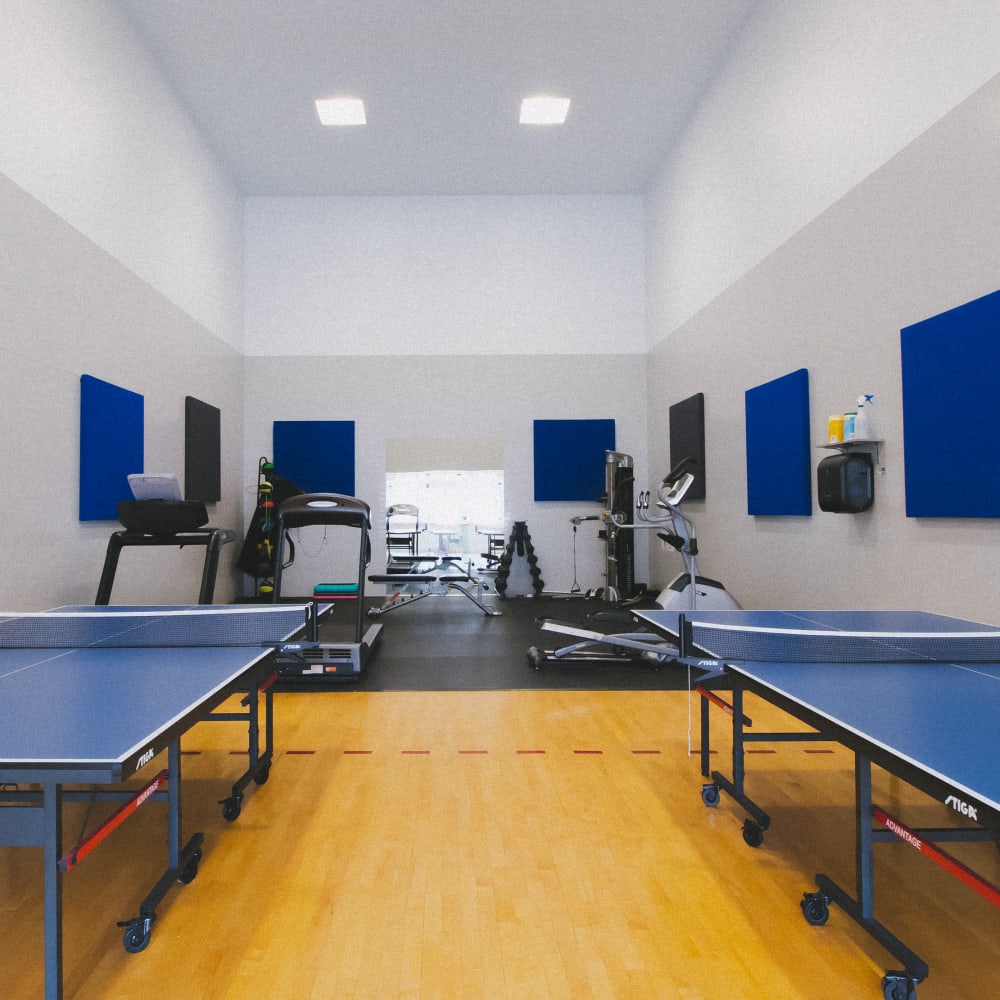 Ping pong tables and gym