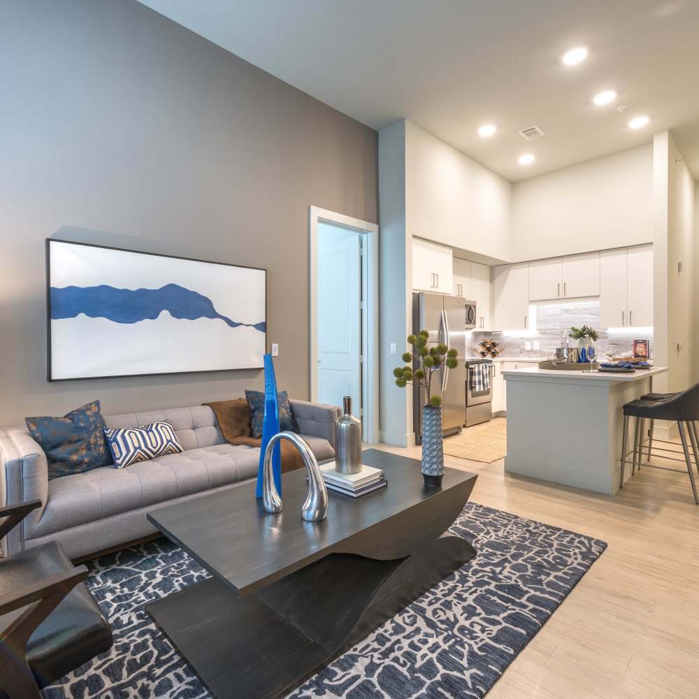 Comfortable and cozy furniture in the apartment living area at Hall Street Flats in Dallas, Texas