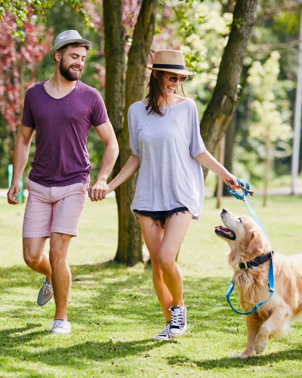 A couple walks their dog through park near Macland in Dallas, Georgia