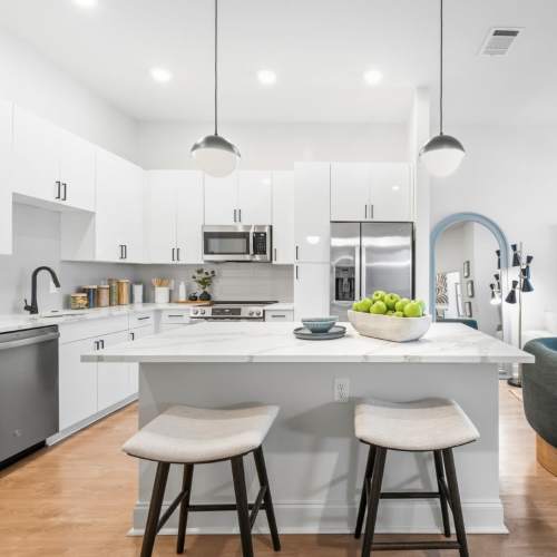 Evergreen-westside-apartments-gainsville-florida-brand-new-luxury-apartment-open-concept-kitchen-and-living (Large)