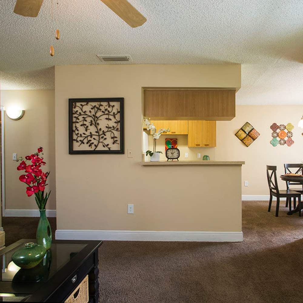 Charming living space with modern kitchen features and elegant decor at Park Place Apartments in Port Richey, Florida.
