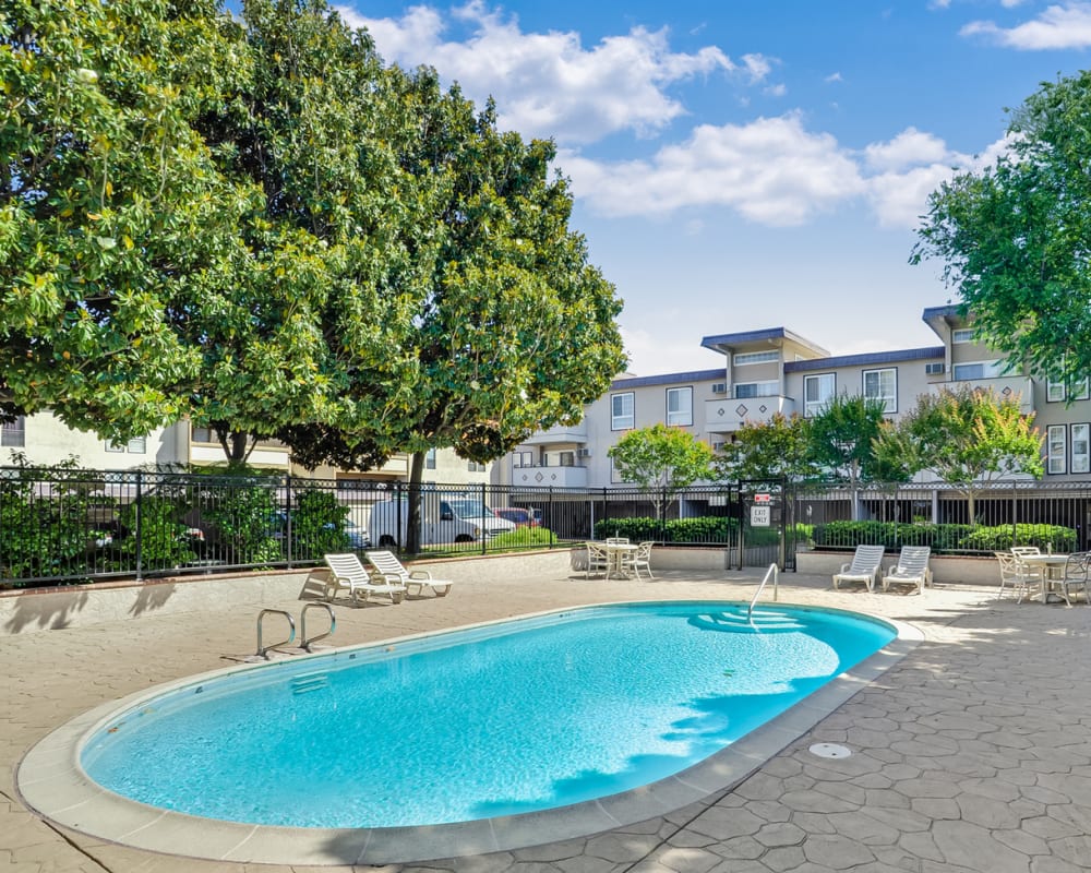 Pool and lounge seating at Palace Apartments in Concord, California