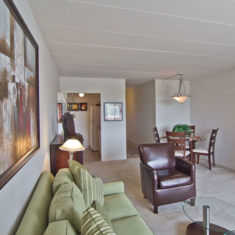 Living room at Park Towers Apartments in Richton Park, Illinois