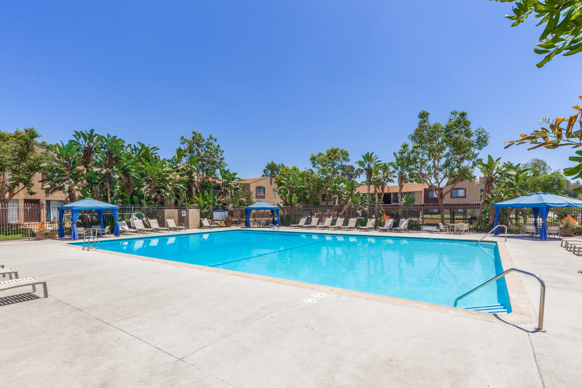 Sparkling swimming pool surrounded by lush trees at West Fifth Apartments in Ontario, California