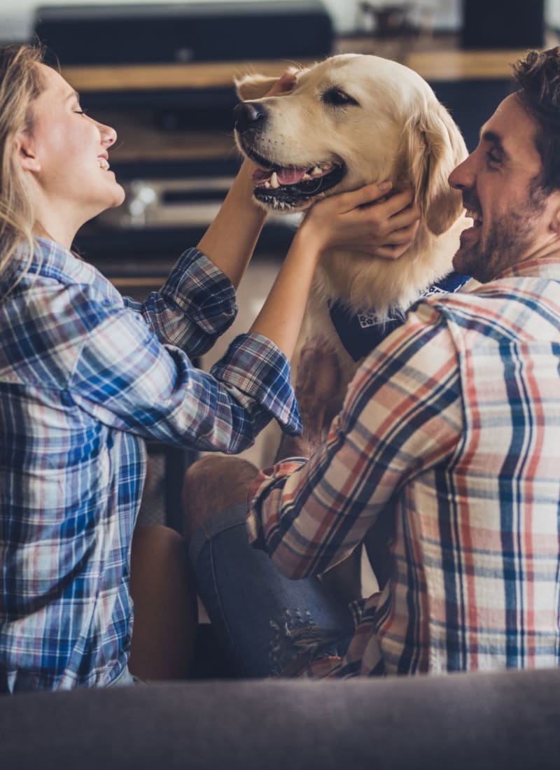 Pet fees at Marquis at Silver Oaks in Grapevine, Texas