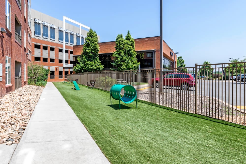 Dog Run at Helios in Englewood, Colorado