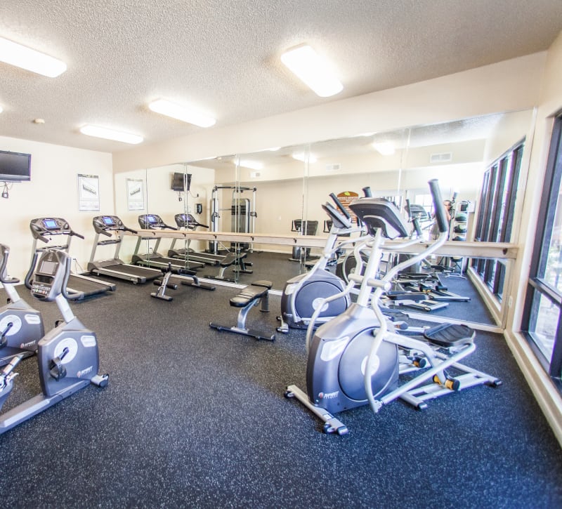 Gym with cardio equipment at Ashley Oaks in San Antonio, Texas