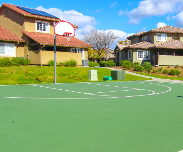 Outdoor basketball court at Chesterton Townhomes in San Diego, California