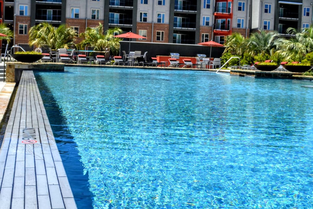 Sparkling pool and leisure area with plants at Anatole at the Pines in Conroe, Texas
