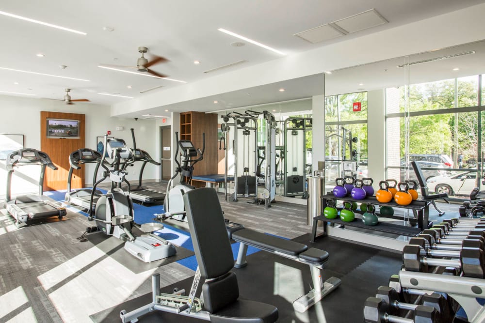 Fitness room with kettlebells, free weights, benches, and cardio machines at Marq Midtown 205 in Charlotte, North Carolina