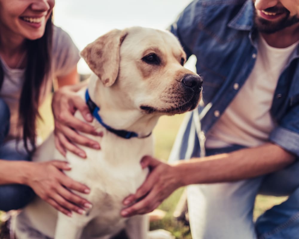 Dog getting some love outside his new home at Bonterra Apartments in Fort Wayne, Indiana