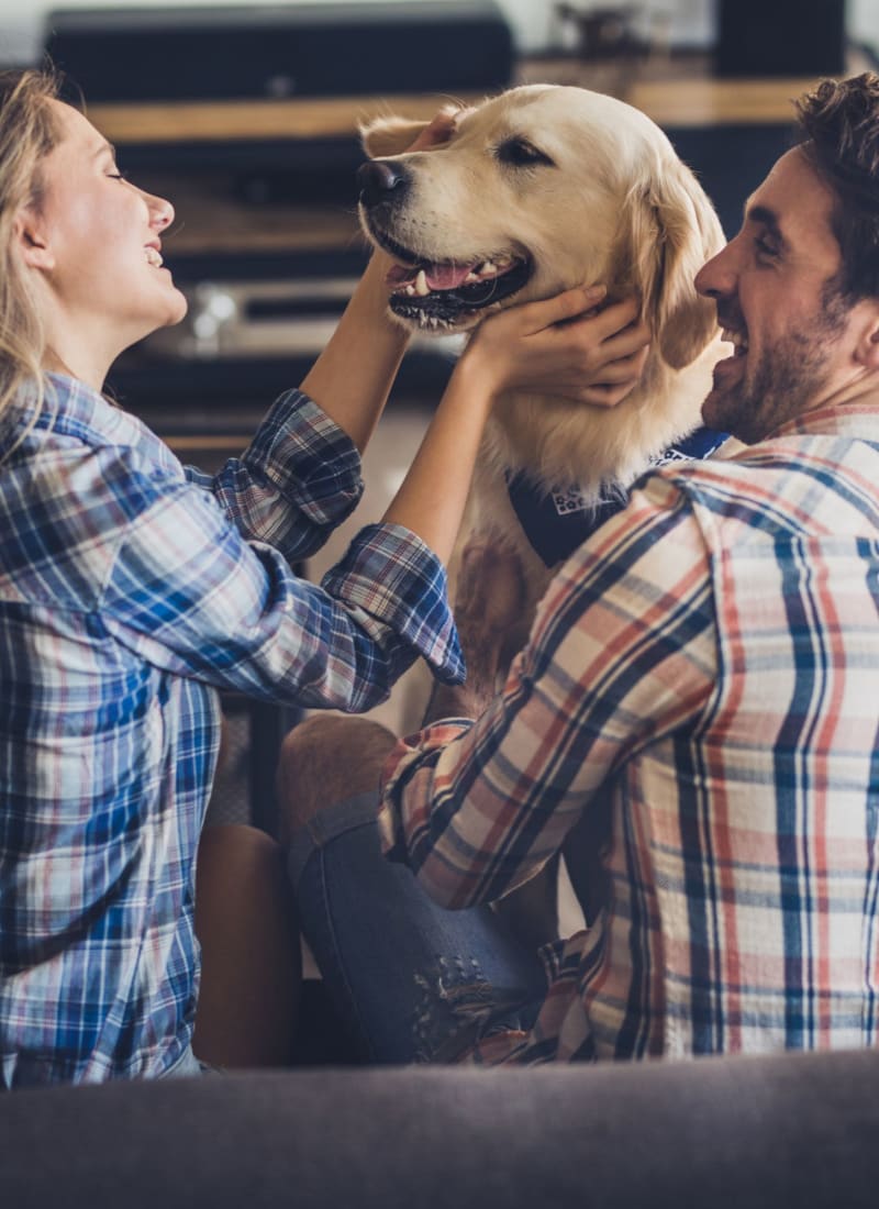 Two pets maximum per apartment at Marquis Castle Pines in Castle Pines, Colorado