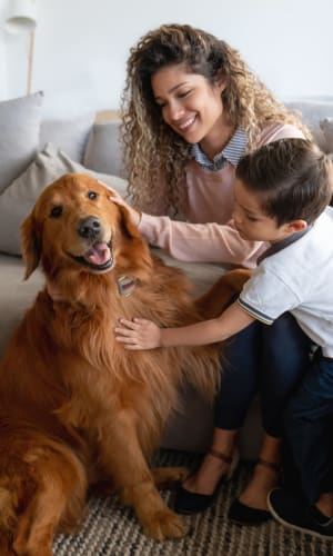 Residents giving their dog pets at home at Pecan Ridge in Waco, Texas