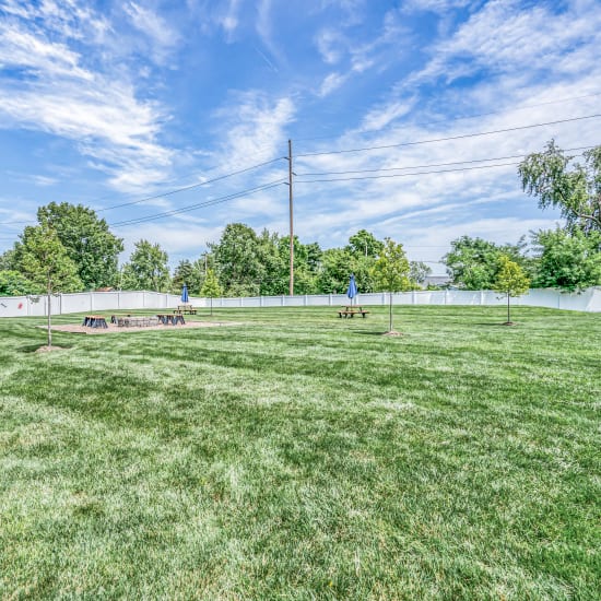 On-site dog park at 5700 Madison in Indianapolis, Indiana