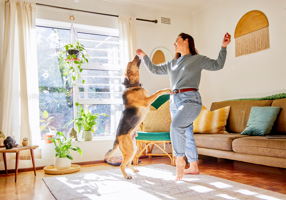 Property 3 for Arbor in Richardson, Texas