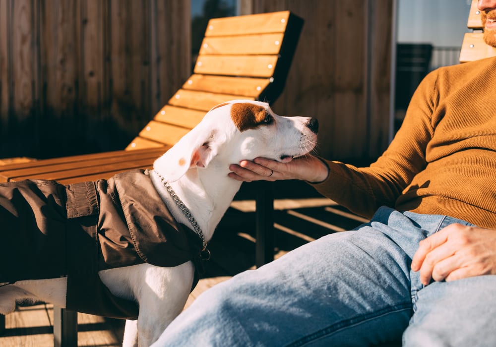 Resident with his dog in their pet-friendly home at Silo Creek Apartments in Lafayette, Louisiana