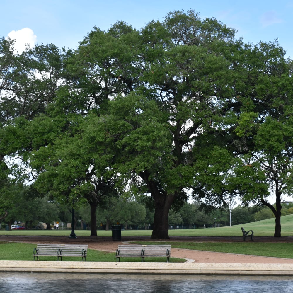 Residents at their favorite spot near South Oaks in Houston, Texas