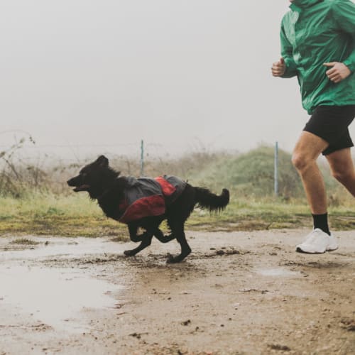 running in the rain with a dog at Santa Cruz in Point Mugu, California