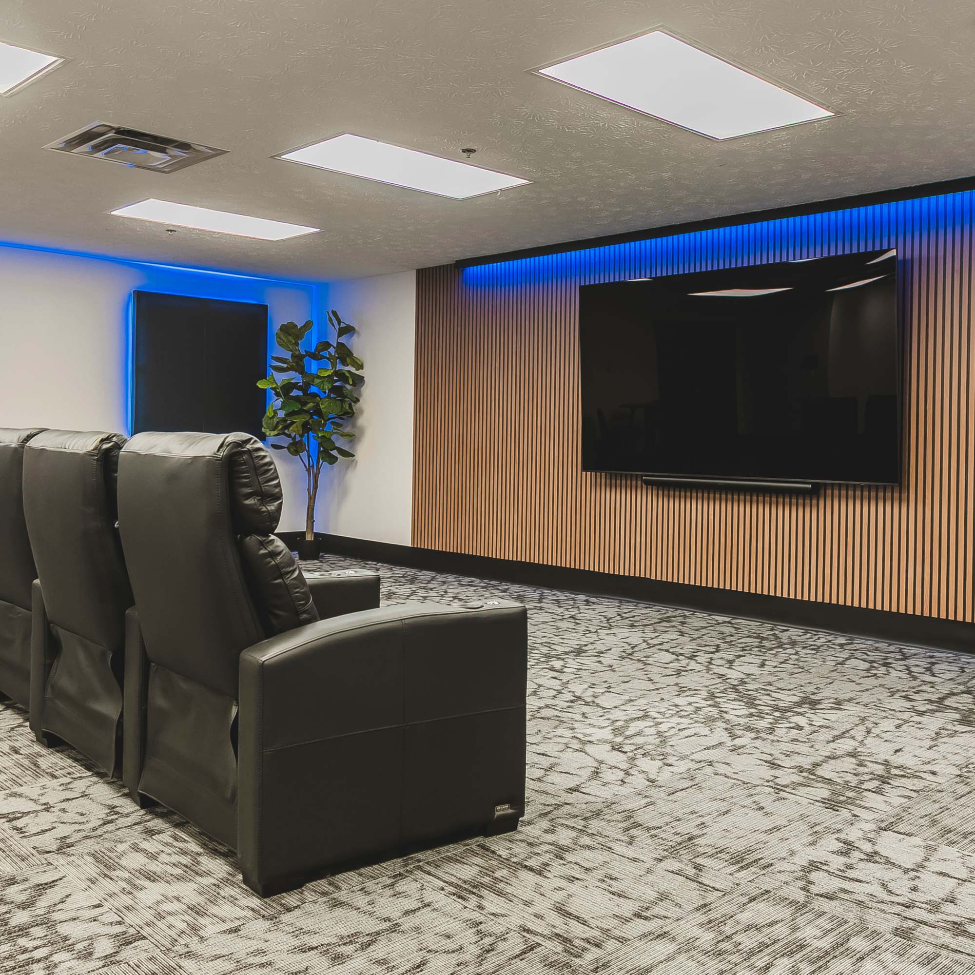 Movie Room at stratford house
