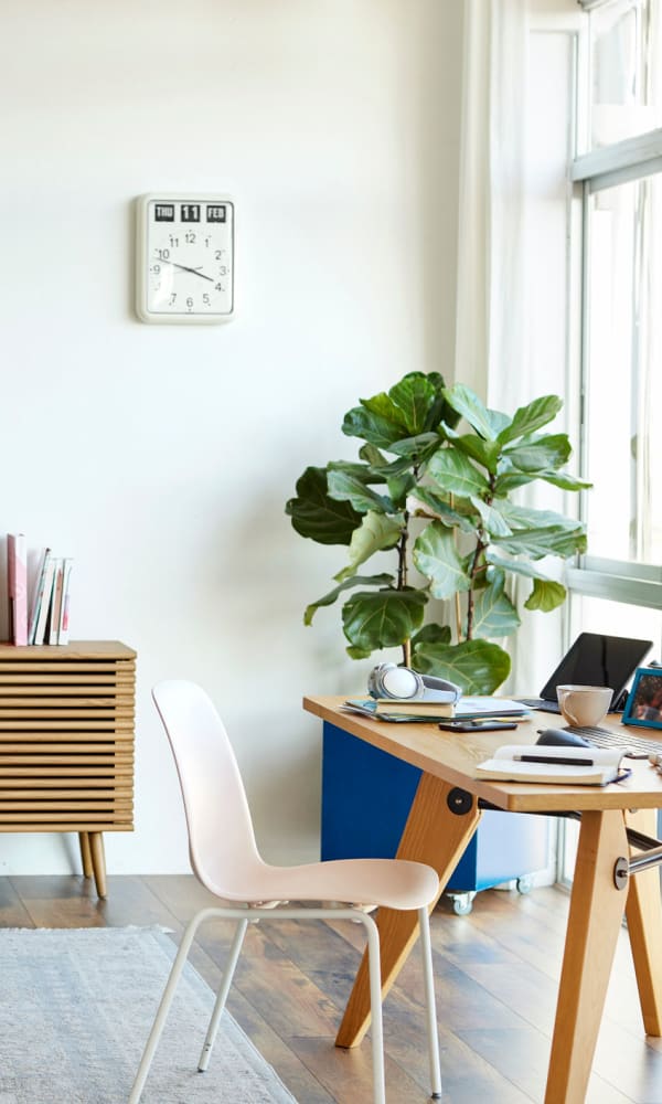 A study table with a large plant on top at West Hartford Collection in West Hartford, Connecticut